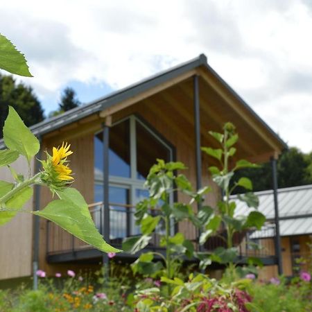 Vila Frongahof Waldkirchen Exteriér fotografie